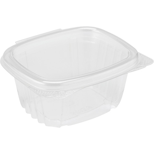 Hinged Lid Deli Container, Plastic Toolneeds Inc.