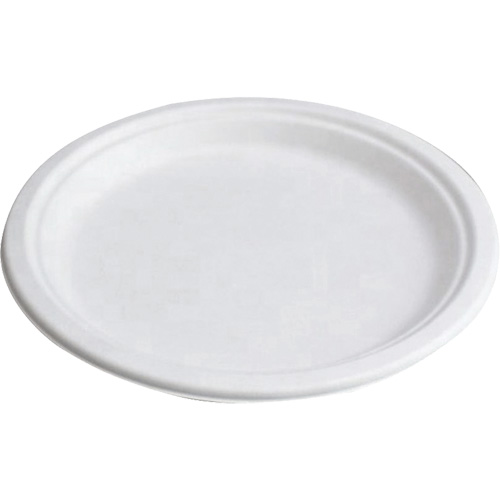 Assiettes compostables Toolneeds Inc.