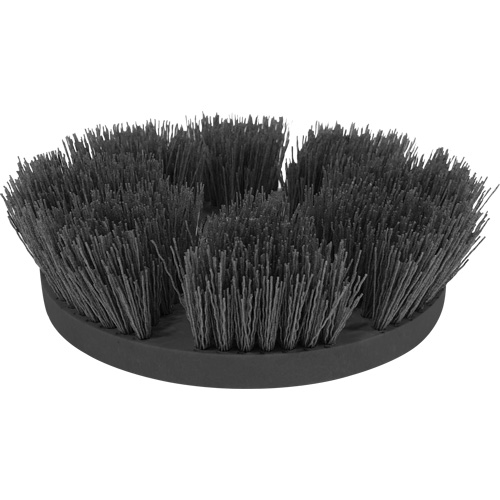 Brosse pour le nettoyage de tuile et coulis Toolneeds Inc.
