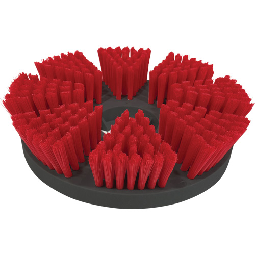 Brosse de nettoyage moyen Toolneeds Inc.