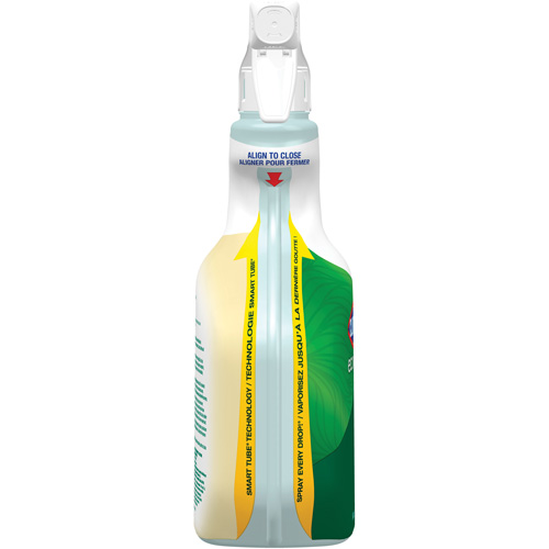Nettoyant tout usage CloroxPro Clorox EcoClean, 946 ml, Bouteille &agrave; g&acirc;chette Toolneeds Inc.