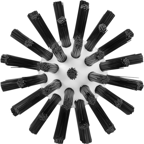 Cleaning Brush, Stiff Bristles, 5-7/10" Long, Black Toolneeds Inc.