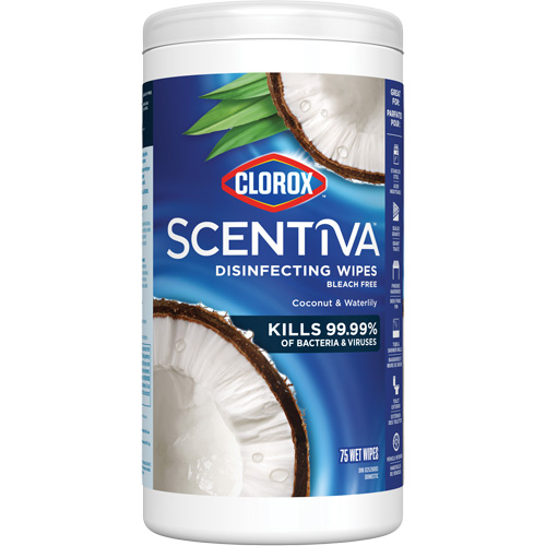 Disinfecting Wipes, 75 Count Toolneeds Inc.