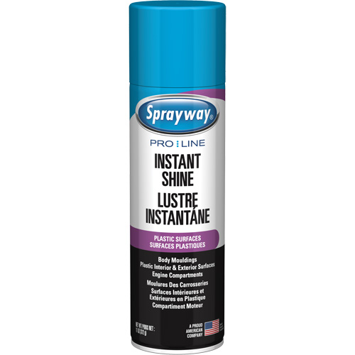 Pro Line Instant Shine for Plastic Surfaces, 11 oz., Aerosol Can Toolneeds Inc.