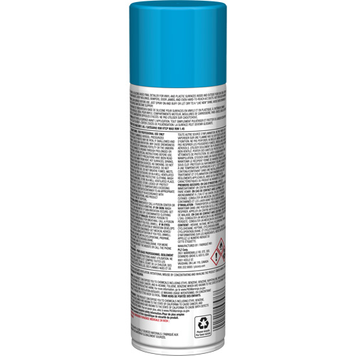 Pro Line Instant Shine for Plastic Surfaces, 11 oz., Aerosol Can Toolneeds Inc.