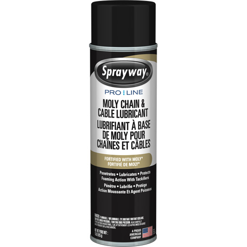 Lubrifiant au molybd&egrave;ne Pro Line pour chaînes et c&acirc;bles, Canette a&eacute;rosol Toolneeds Inc.