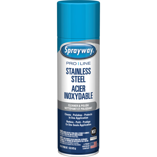 Nettoyant & polis pour acier inoxydable Pro Line, 15 oz, Canette a&eacute;rosol Toolneeds Inc.