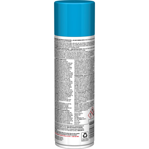 Nettoyant & polis pour acier inoxydable Pro Line, 15 oz, Canette a&eacute;rosol Toolneeds Inc.