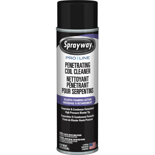 Nettoyant p&eacute;n&eacute;trant pour bobines Pro Line &agrave; action moussante diff&eacute;r&eacute;e, 19 oz., Canette a&eacute;rosol Toolneeds Inc.