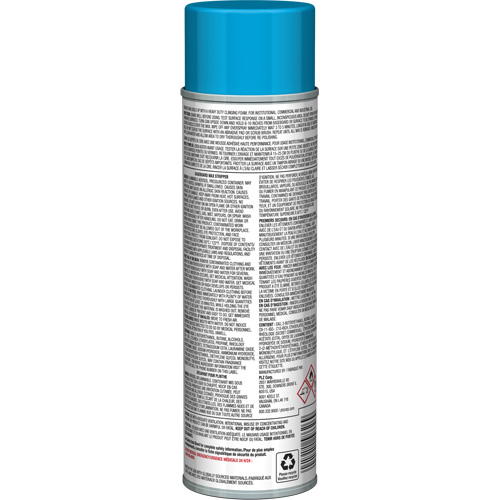 D&eacute;capant pour cire de plinthes avec mousse adh&eacute;sive, 19 oz., Canette a&eacute;rosol Toolneeds Inc.