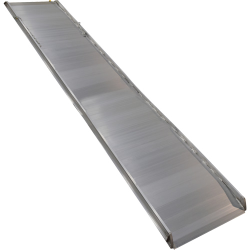 Rampe de promenade en aluminium, Capacit&eacute; de 1000 lb, 38" la x 193-1/8" lo Toolneeds Inc.