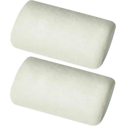 Manchons pour rouleau de calibre professionnel, Nap 6 mm (1/4"), 101,6 mm (4") l Toolneeds Inc.