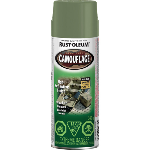 Peinture de camouflage Sp&eacute;cialit&eacute;, Canette a&eacute;rosol, Brun terre Toolneeds Inc.