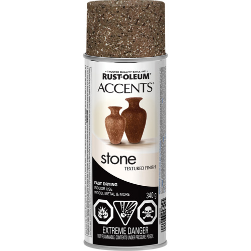 Accents&reg; Stone Creations Spray Paint, Aerosol Can, Sienna Stone Toolneeds Inc.