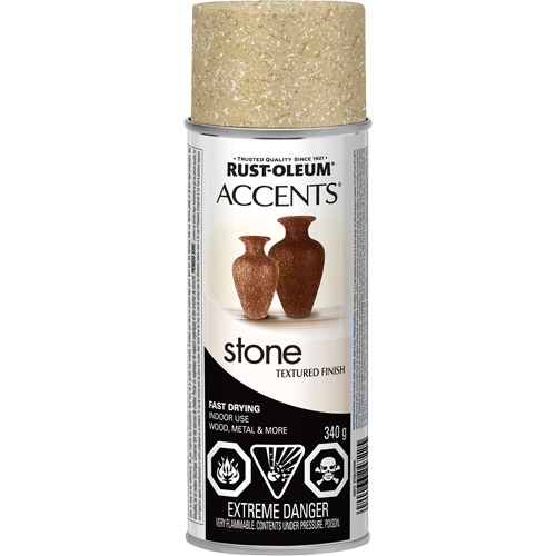 Accents&reg; Stone Creations Spray Paint, Aerosol Can, Bleached Stone Toolneeds Inc.