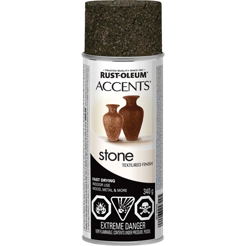 Accents&reg; Stone Creations Spray Paint, Aerosol Can, Granite Stone Toolneeds Inc.