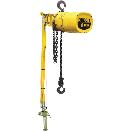 Budgit&reg; Series 6000 Air Hoists Toolneeds Inc.