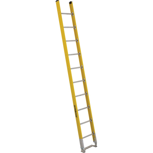 Single Section Straight Ladder - 6100 Series, 10', Fibreglass, 375 lbs., CSA Grade 1AA Toolneeds Inc.