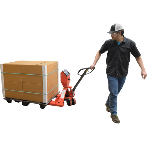 Transpalette, 48" lo x 27,5" la, Capacit&eacute; de 5000 lb Toolneeds Inc.