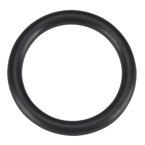 O Ring, Plain Toolneeds Inc.