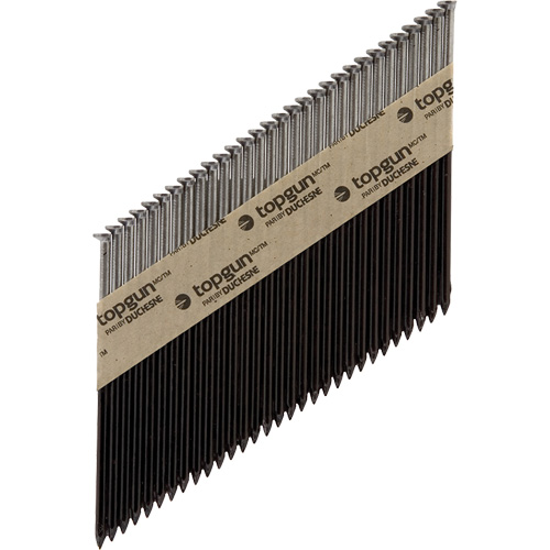 Collated Nails Toolneeds Inc.