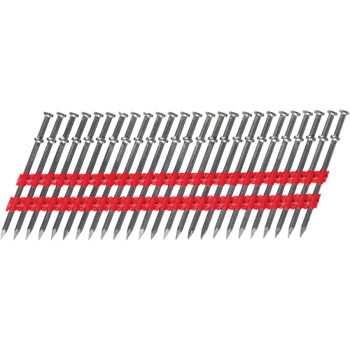 Clous Duplex coll&eacute;s 8D Toolneeds Inc.