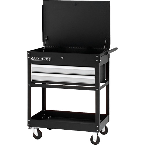 Utility Cart, 2 Drawers, 30-1/4" L x 19" W x 35-3/4" H, Black Toolneeds Inc.