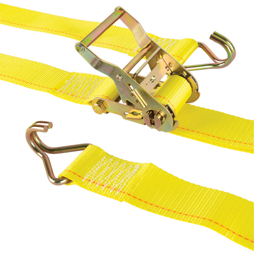 Tendeur d'arrimage logistique, Rochet, 2" la x 12' lo, Charge d'utilisation 500 lb (227 kg) Toolneeds Inc.