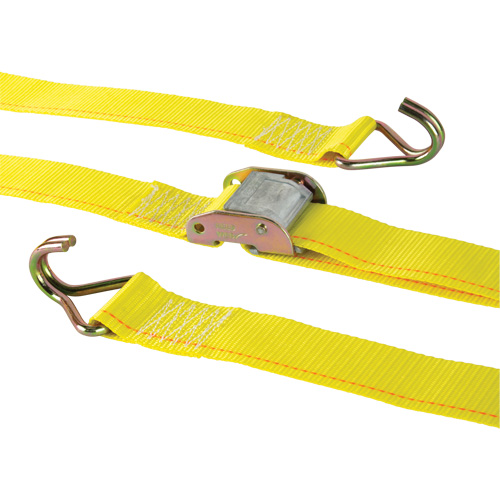 Tendeur d'arrimage &agrave; cliquet, Boucle &agrave; came, 2" la x 12' lo, Charge d'utilisation 500 lb (227 kg) Toolneeds Inc.