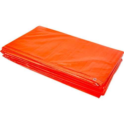 B&acirc;ches isol&eacute;es, Poly&eacute;thyl&egrave;ne, Orange, 20' x 12' x 8 mils Toolneeds Inc.