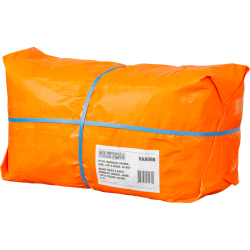 B&acirc;che tiss&eacute;e robuste haute visibilit&eacute;, Poly&eacute;thyl&egrave;ne, Vert/Orange, 40' x 60' x 12 mils Toolneeds Inc.