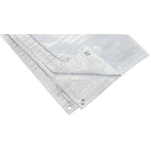 B&acirc;che isol&eacute;e, Poly&eacute;thyl&egrave;ne, Blanc, 20' x 12' x 8 mils Toolneeds Inc.