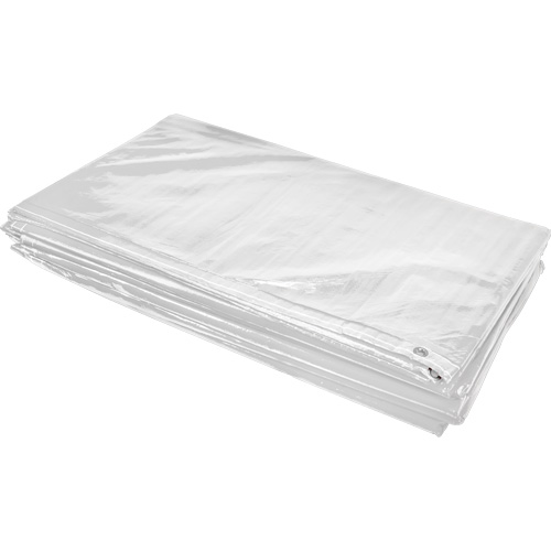 B&acirc;che isol&eacute;e, Poly&eacute;thyl&egrave;ne, Blanc, 20' x 12' x 8 mils Toolneeds Inc.
