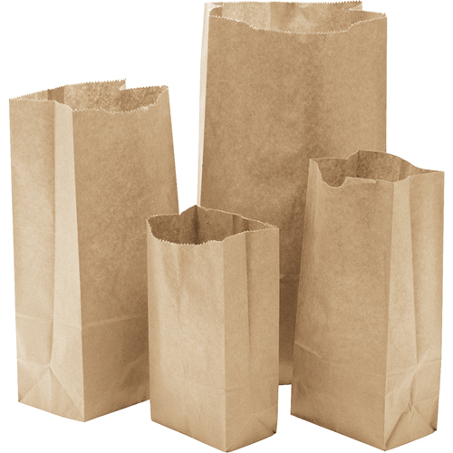 Paper Bags #12, Paper, 7-1/8" W x 13-3/4" L Toolneeds Inc.