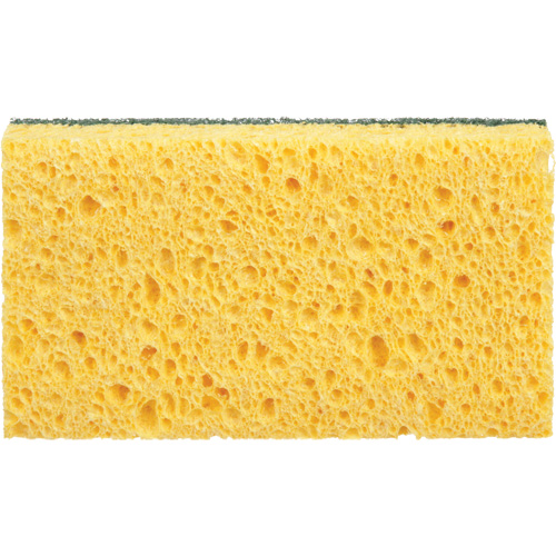 Utility Sponges, Cellulose, 6" W x 3-1/2" L Toolneeds Inc.