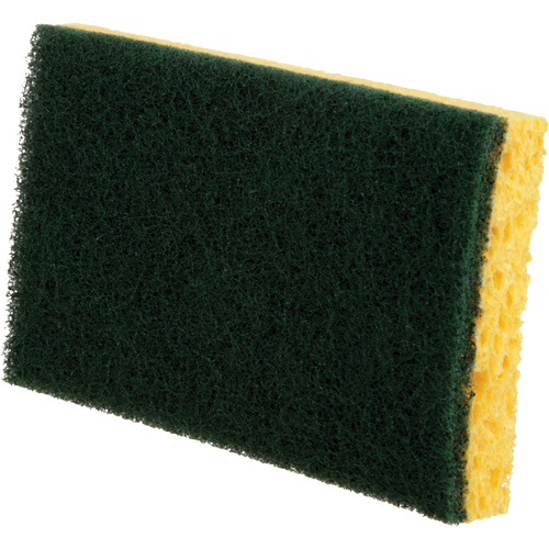 Utility Sponges, Cellulose, 6" W x 3-1/2" L Toolneeds Inc.