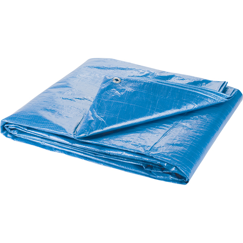 B&acirc;che, Standard, Bleu, 7' x 5' x 4 mils Toolneeds Inc.