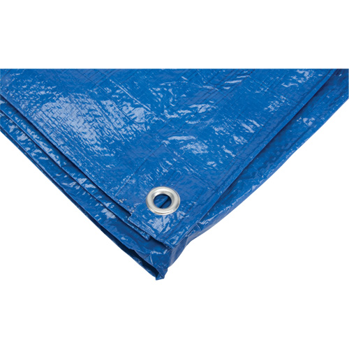B&acirc;che, Standard, Bleu, 7' x 5' x 4 mils Toolneeds Inc.