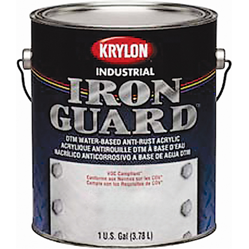 &eacute;mail industriel &agrave; base d'eau Iron Guard, Canette, Gris Toolneeds Inc.