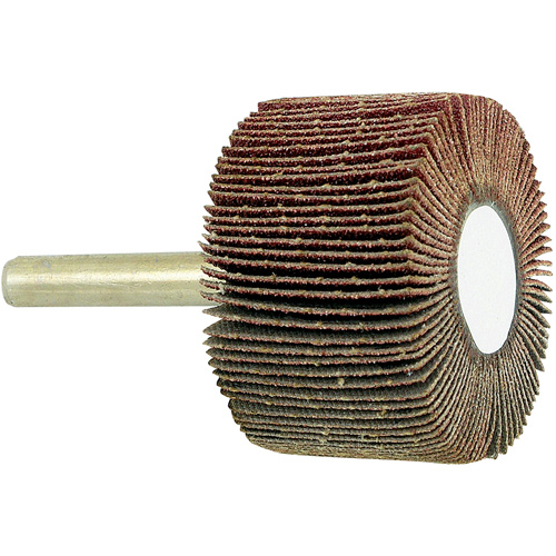 Disque &agrave; lamelles mont&eacute; sur mandrin, Grain 80, 1-1/2" x 1" x 1/4" Toolneeds Inc.