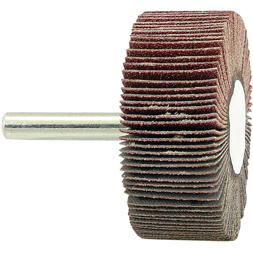 Disque &agrave; lamelles mont&eacute; sur mandrin, Grain 80, 2" x 3/4" x 1/4" Toolneeds Inc.