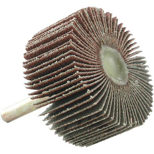 Mounted Flapwheel, 60 Grit, 2" x 1" x 1/4" Toolneeds Inc.