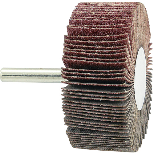Mounted Flapwheel, 80 Grit, 2-1/2" x 1" x 1/4" Toolneeds Inc.