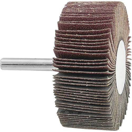 Disque &agrave; lamelles mont&eacute;, Grain 120, 2-1/2" x 1" x 1/4" Toolneeds Inc.