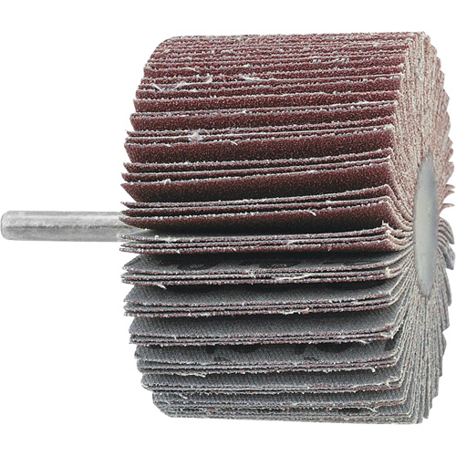 Mounted Flapwheel, 60 Grit, 3" x 1" x 1/4" Toolneeds Inc.