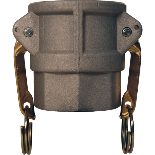 Global Cam & Groove Coupler, Aluminum, Type D, 2", Female NPT, 250 PSI Toolneeds Inc.