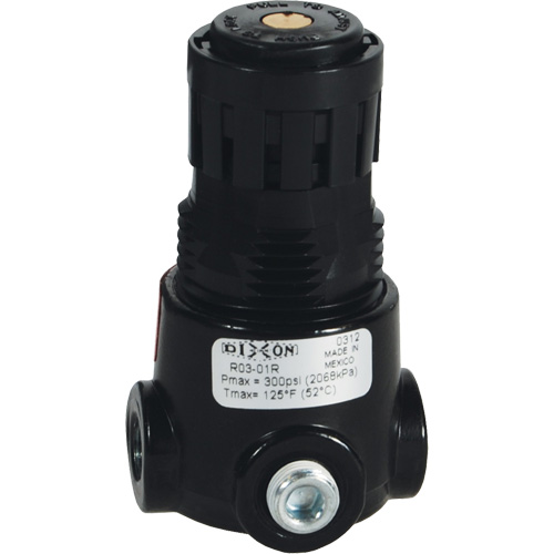 Wilkerson Miniature Regulator R03, 1/8" NPT, 300 psi Max. PSI, Standard Toolneeds Inc.