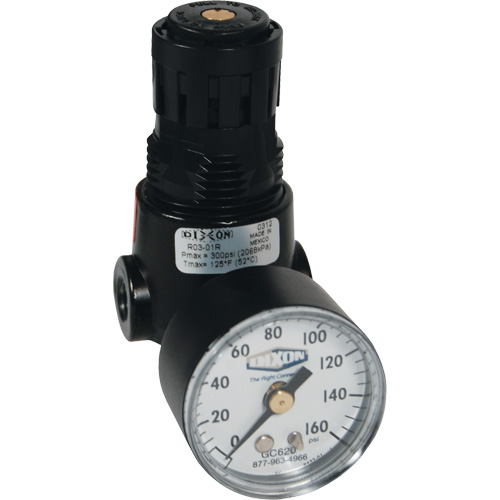 Wilkerson Miniature Regulator R04, 1/4" NPT, 300 psi Max. PSI, Standard Toolneeds Inc.