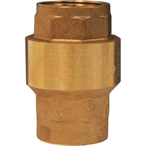 Horizontal Swing Check Valve Toolneeds Inc.