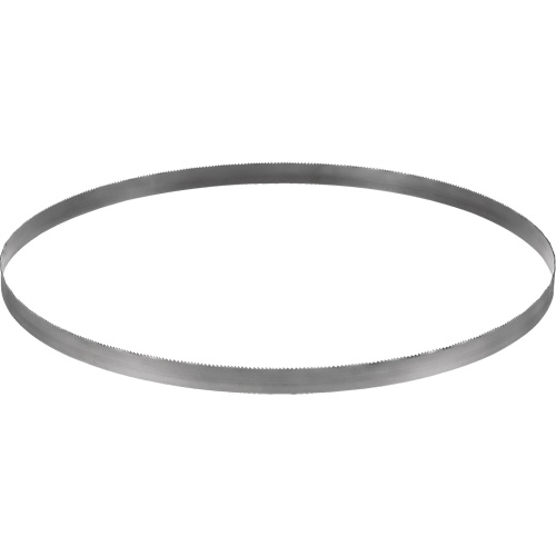 Cordless Band Saw Blade, Bi-Metal, 32-7/8" L x 0.02" Thick, 14-18 TPI Toolneeds Inc.
